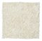 8719401365343_sealskin_brilliance_imit_Douchemat Brilliance vienna 60x60 off white.tif